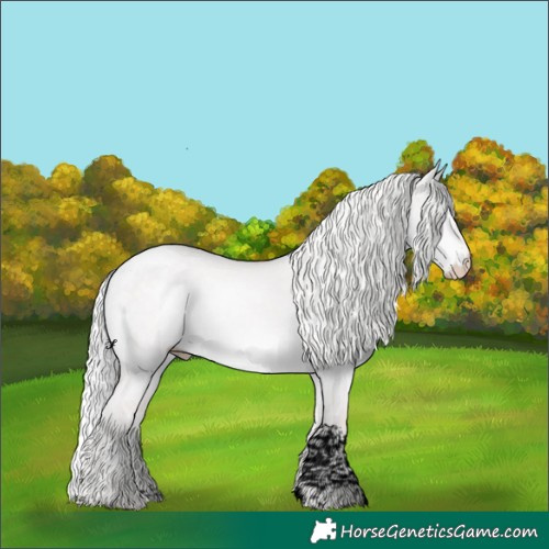 Horse Color:Void Platinum Silver Perlino Dun Tobiano 
