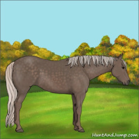 Horse Color:Silver Black 