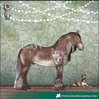 Horse Color:Chocolate Brown Dun Tobiano Brindle 