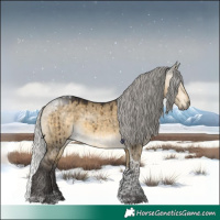 Horse Color:Silver Buckskin Dun Tobiano Brindle