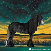 Horse Color:Void Platinum Buckskin Roan Dun Tobiano 