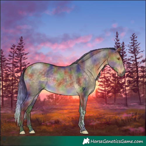 Horse Color:Nacre Buckskin Dun Tobiano 