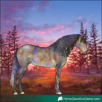 Horse Color:Nacre Buckskin Dun Tobiano 