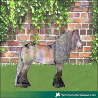 Horse Color:Void Nacre Silver Brown Dun Tobiano 