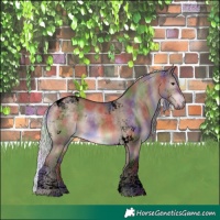 Horse Color:Void Nacre Silver Brown Dun Tobiano 