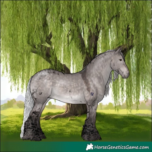 Horse Color:Void Platinum Silver Brown Dun Tobiano 