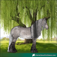 Horse Color:Void Platinum Silver Brown Dun Tobiano 