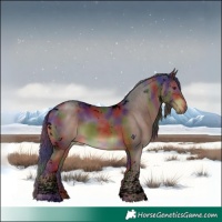 Horse Color:Void Nacre Liver Chestnut Tobiano 