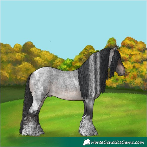 Horse Color:Brown Roan Mushroom Tobiano Rabicano 