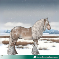 Horse Color:Liver Red Dun Mushroom Tobiano Rabicano 