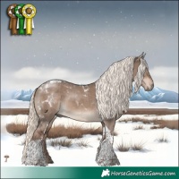 Horse Color:Liver Red Dun Mushroom Tobiano Rabicano