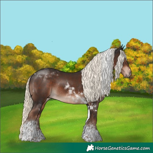 Horse Color:Liver Chestnut Mushroom Tobiano Rabicano 