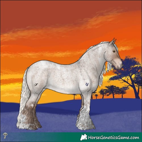 Horse Color:Liver Red Dun Roan Mushroom Tobiano Rabicano 