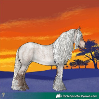 Horse Color:Liver Red Dun Roan Mushroom Tobiano Rabicano 