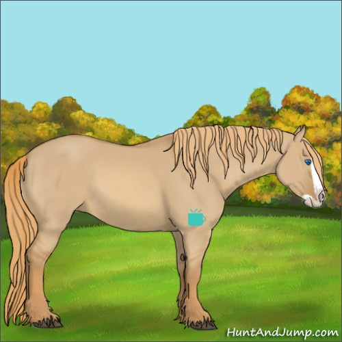 Horse Color:Red Dun Splash 