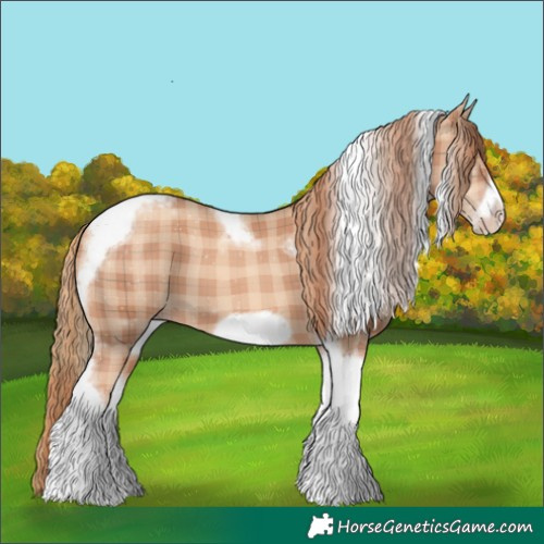 Horse Color:Plaid  Gold Champagne Tobiano Frame 