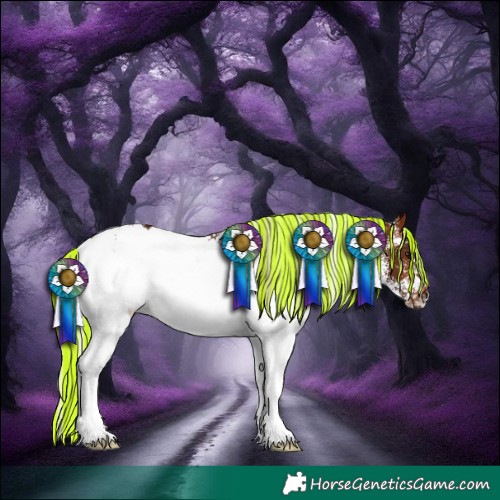 Horse Color:Painted White Spotted Silver Bay Rabicano 