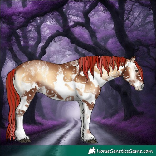Horse Color:Painted White Spotted Red Onyx 