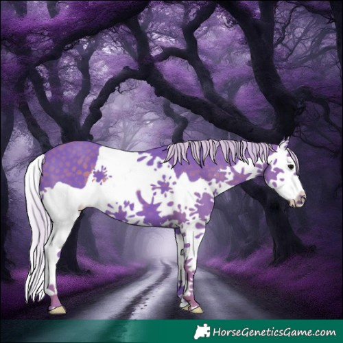 Horse Color:Watercolor Silver Black Splash 