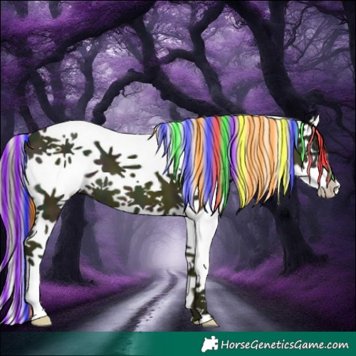 Horse Color:Painted Watercolor White Spotted Midnight Red Dun Splash 