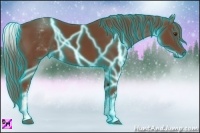 Horse Color:Thunderstruck White Spotted Chestnut Sabino 