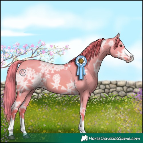 Horse Color:Watercolor Red Dun Ice 