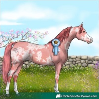 Horse Color:Watercolor Red Dun Ice