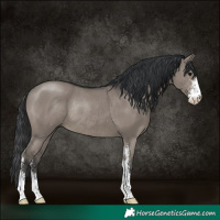 Horse Color:Grullo Sabino Rabicano 