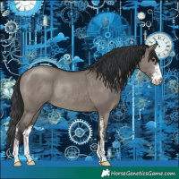Horse Color:Grullo Sabino Rabicano 