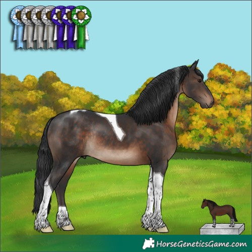 Horse Color:Brown Tobiano Rabicano 