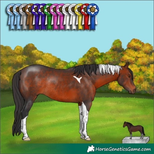 Horse Color:Brown Tobiano Rabicano 