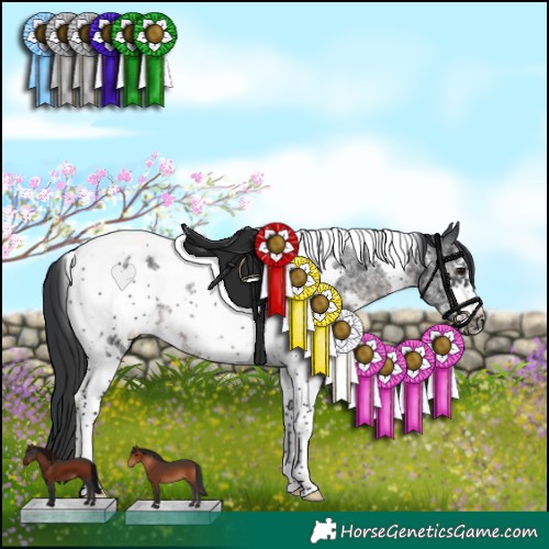 Horse Color:Black Sabino Tobiano Frame Rabicano 