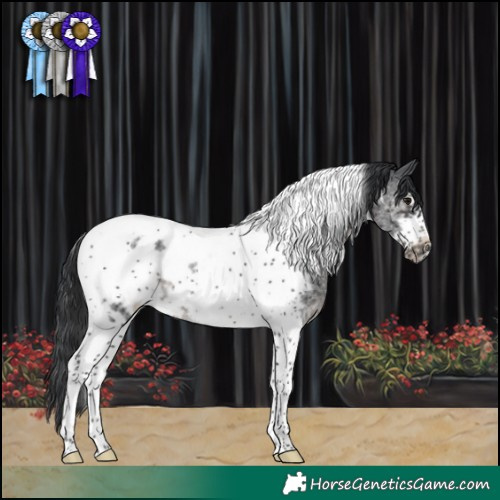 Horse Color:Black Sabino Tobiano Frame Rabicano 