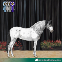 Horse Color:Black Sabino Tobiano Frame Rabicano 