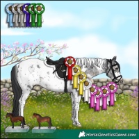 Horse Color:Black Sabino Tobiano Frame Rabicano 