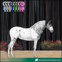 Horse Color:Black Sabino Tobiano Frame Rabicano 