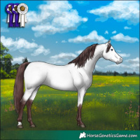 Horse Color:Chocolate Buckskin Chinchilla 