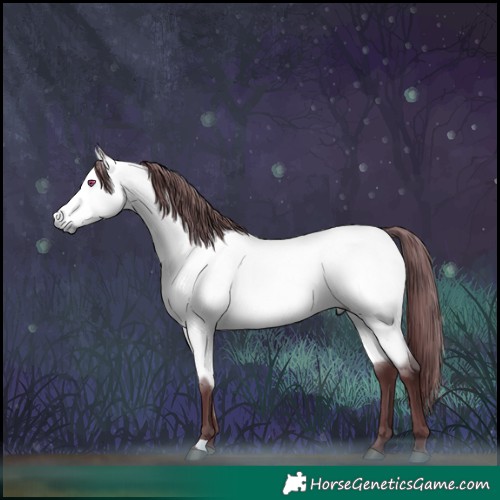 Horse Color:Chocolate Buckskin Chinchilla 