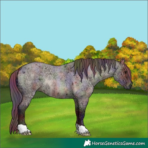 Horse Color:Nacre Chocolate Brown Ice Roan Dun 