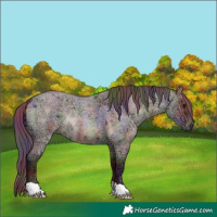 Horse Color:Nacre Chocolate Brown Ice Roan Dun 