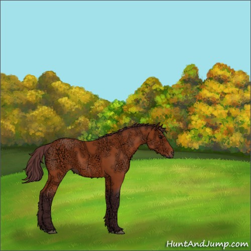 Horse Color:Chocolate Bay Ice 