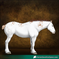 Horse Color:White Spotted Chestnut Tobiano 