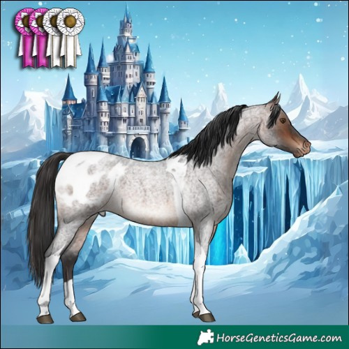 Horse Color:Brown Roan Tobiano Blanket Rabicano