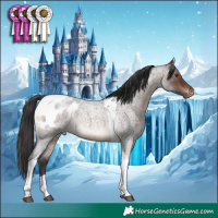 Horse Color:Brown Roan Tobiano Blanket Rabicano 