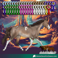 Horse Color:Brown Dun Sabino Tobiano Appaloosa Rabicano