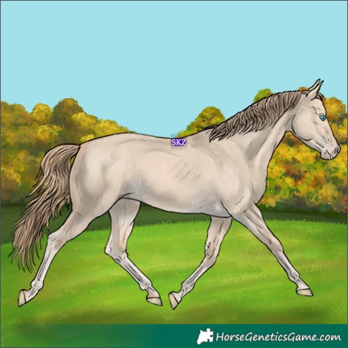 Horse Color:Perlino Dun 
