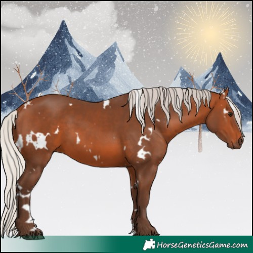 Horse Color:White Spotted Silver Bay 