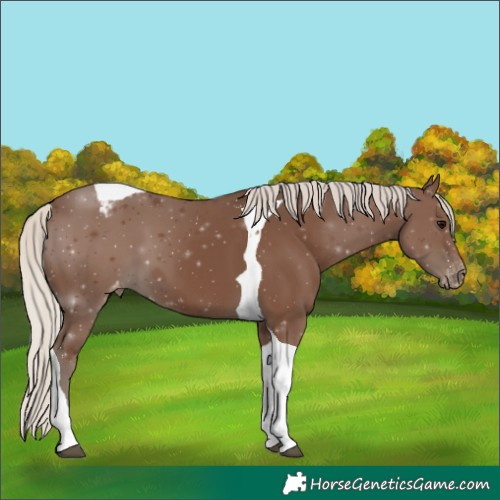 Horse Color:Silver Black Ice Tobiano Varnish 