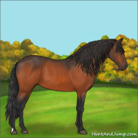 Horse Color:Brown 