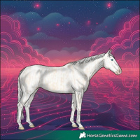 Horse Color:Cremello Splash  and Cremello Splash 